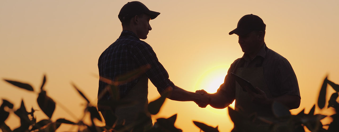 Deux hommes se serrent la main dans un champ au lever du soleil.