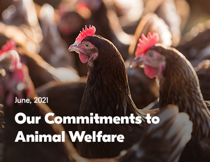 our-commitments-animal-welfare-corporate-responsibility