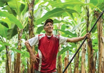 A man in a red and white shirt stands amid tall banana plants, smiling while holding a long pole.