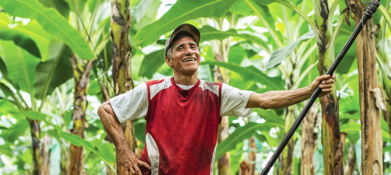 A man in a red and white shirt stands amid tall banana plants, smiling while holding a long pole.