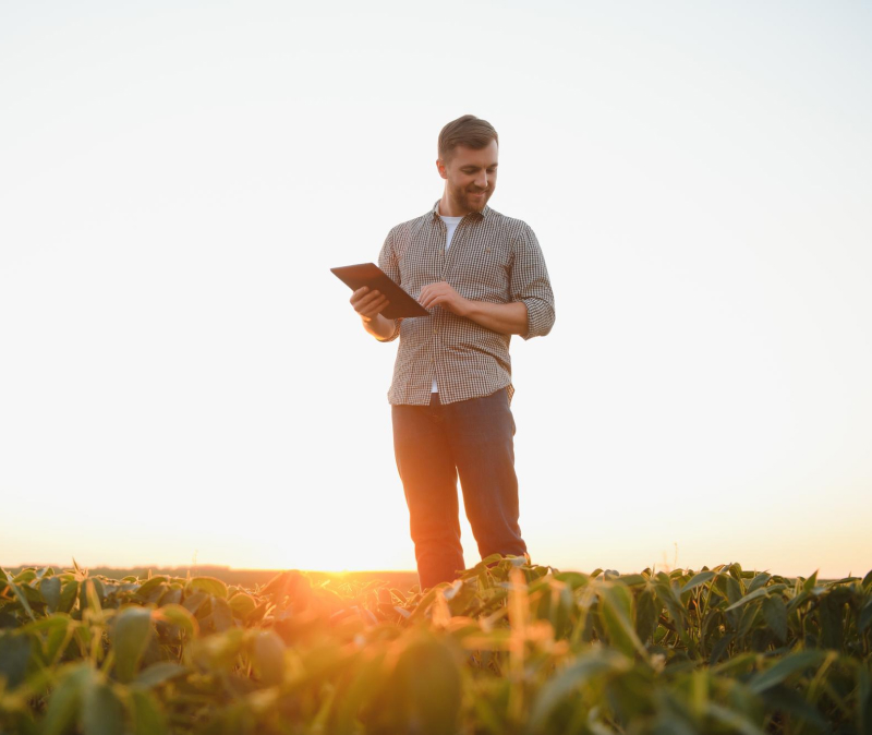 men are standing in a green crop field under a clear sky. One man is showing something on a tablet to the other man.